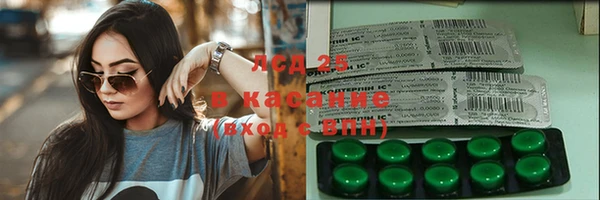 гашик Михайловск