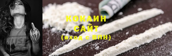 гашик Михайловск