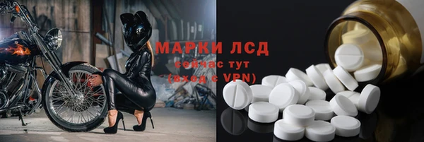стаф Михайлов