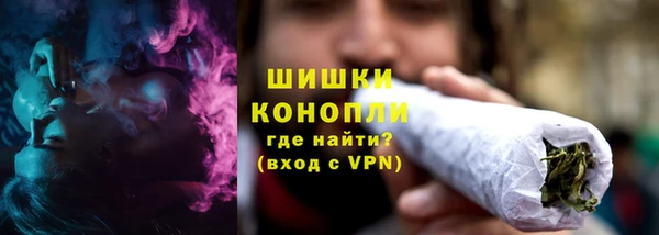 гашик Михайловск