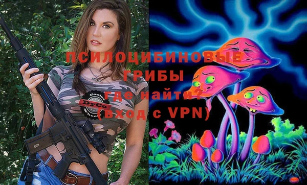 стаф Михайлов