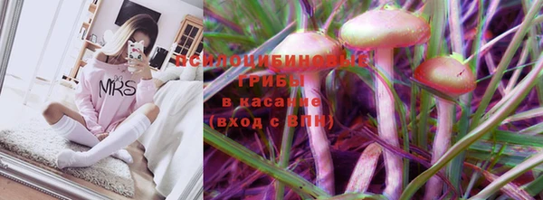 гашик Михайловск