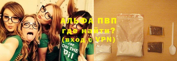 прущие грибы Навашино