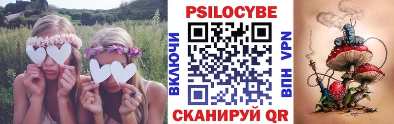 Псилоцибиновые грибы GOLDEN TEACHER  Купить  Сельцо 