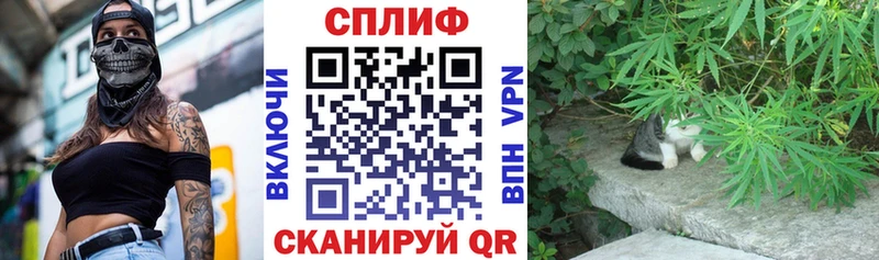 Купить где  Сельцо  Канабис THC 21% 